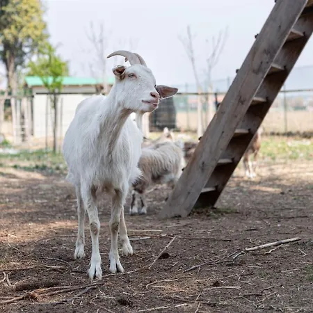 Cascina Cattabreghetta Bed & Breakfast