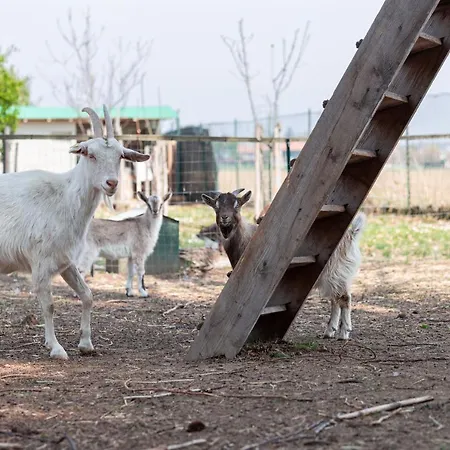 Oda ve Kahvaltı Cascina Cattabreghetta