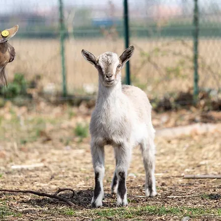 Cascina Cattabreghetta 4* Pombia